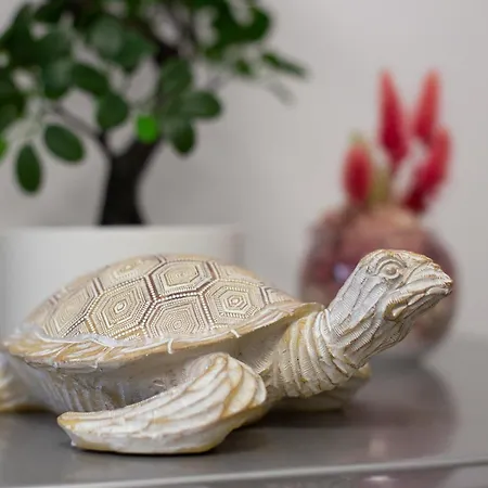 Tropical Boutique Apartamento *